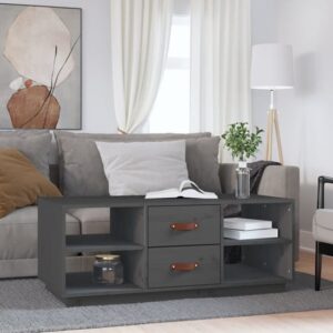 Aivar Pine Wood Coffee Table With 2 Drawers In Grey